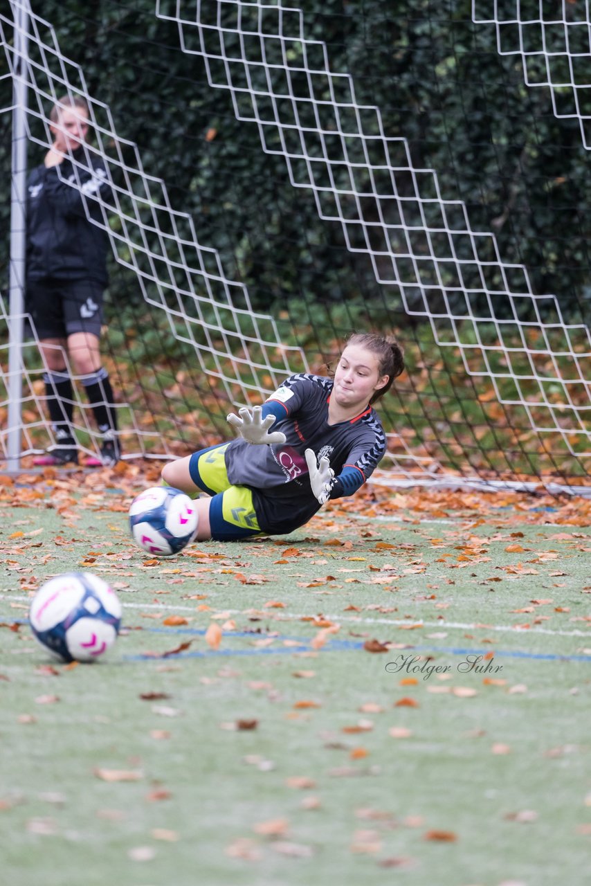 Bild 169 - wBJ Harburger TB - Holstein Kiel : Ergebnis: 2:1